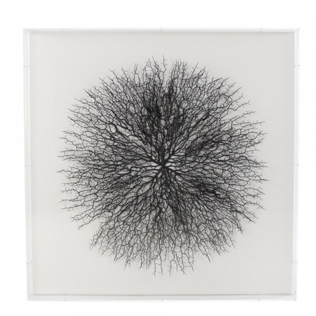 zentique  Abstract Black Branches Framed Wall Art in Clear Shadowbox