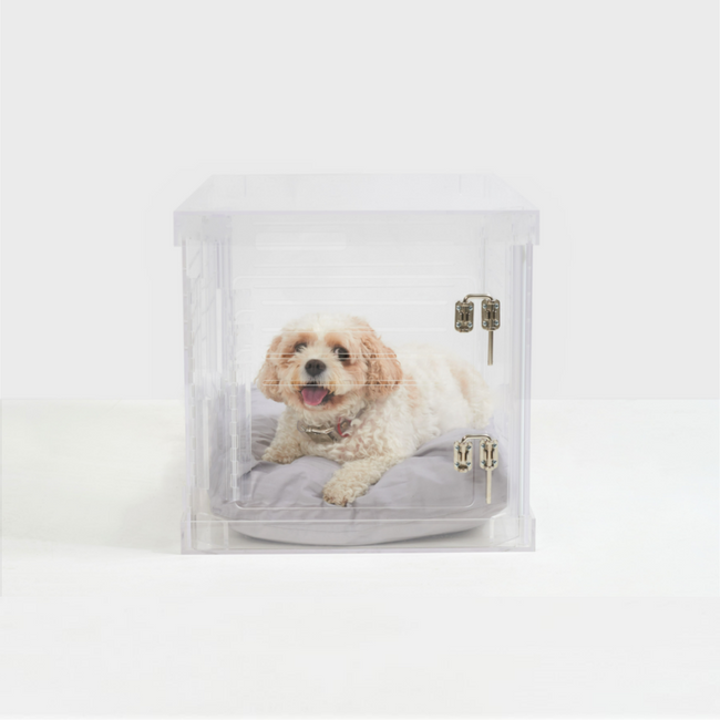 small pet dog clear acrylic lucite modern crate freestanding pet crate furniture