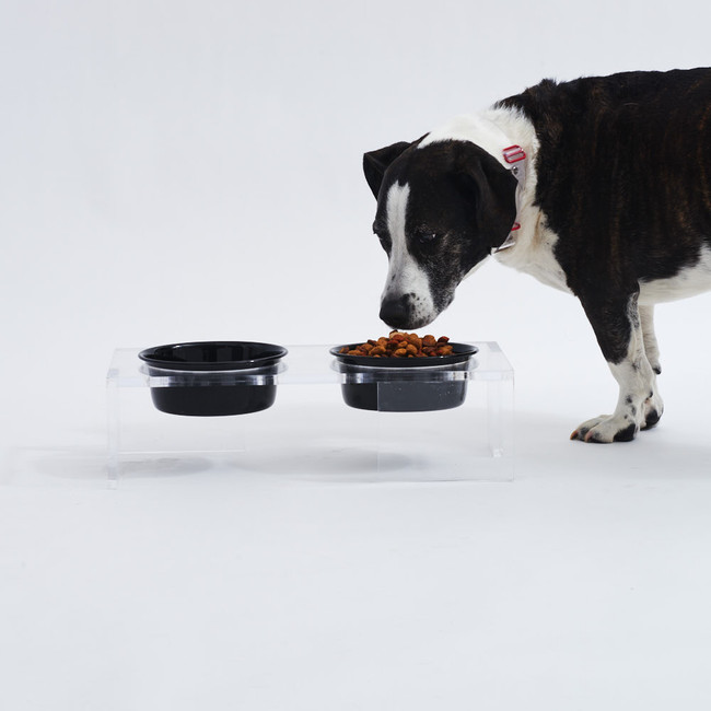 Clear Panel Leg Feeder with Black Bowls by hiddin