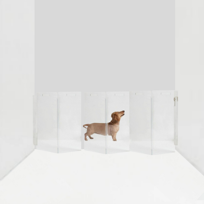 modern clear acrylic lucite wall attached zig zag pet dog gate barrier