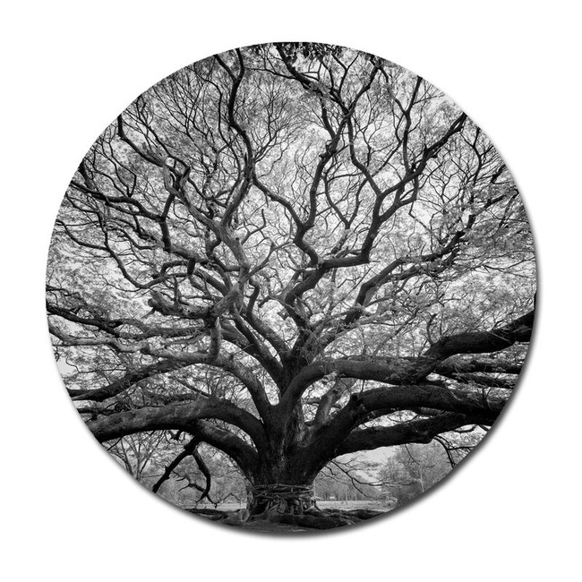 Black Tree Graphic Art on Acrylic