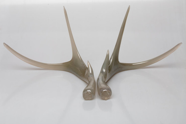 Art Glass Blown Antlers Pair, Color Options