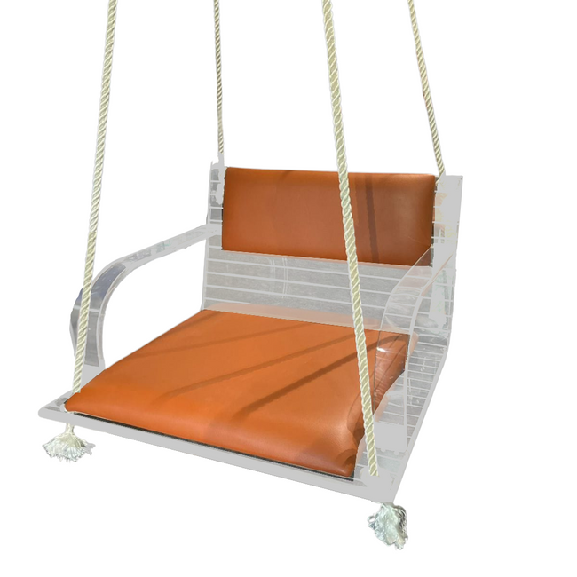 Modern Lucite Hanging Indoor/Outdoor Swing Chair with Rope