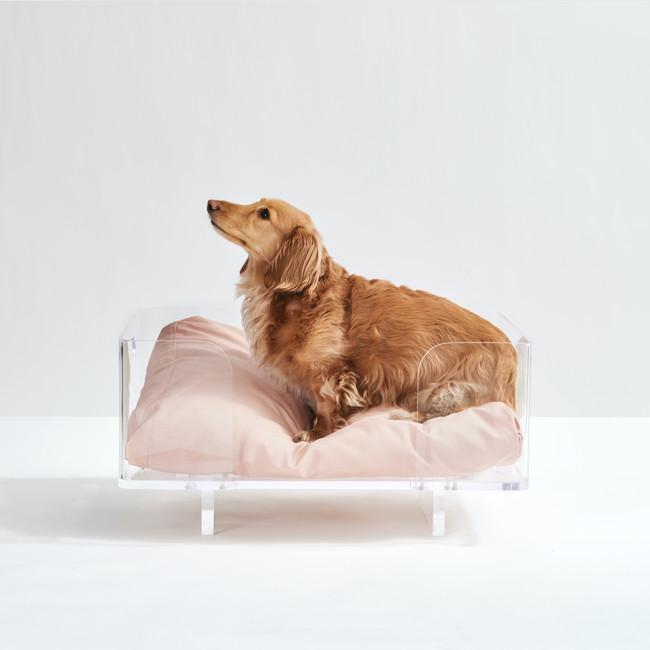 Clear Acrylic lucite raised elevated modern Dog Bed by Hiddin 