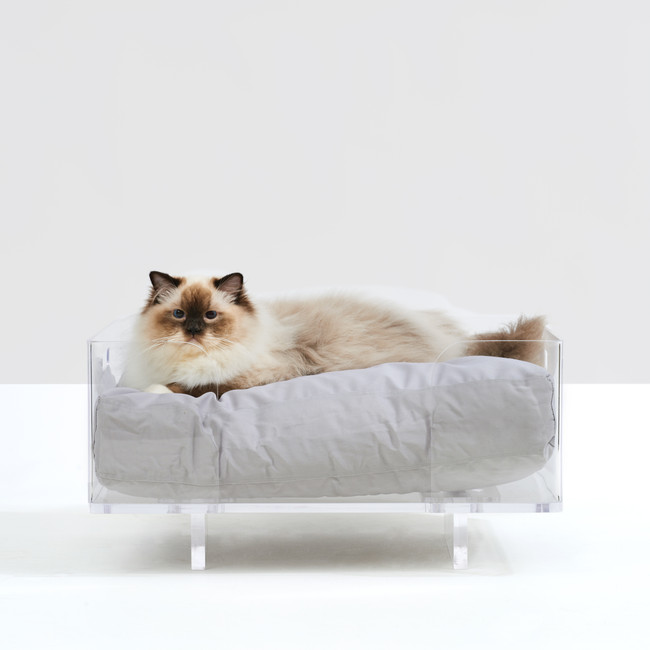 Clear Acrylic Pet Bed by Hiddin