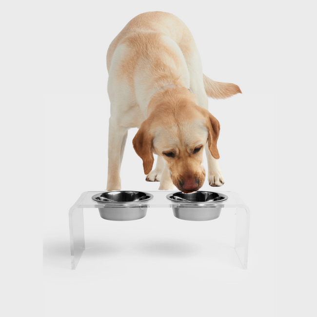 Bronze Acrylic Double Bowl Elevated Pet Feeder & Reviews