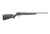 B17 17HMR BL/SYN 21"17 HMR