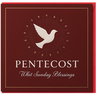 Pentecost Whit Sunday Blessings Greeting Card - White Dove with Golden Rays on Burgundy - Christian Religious Whit Sunday Card