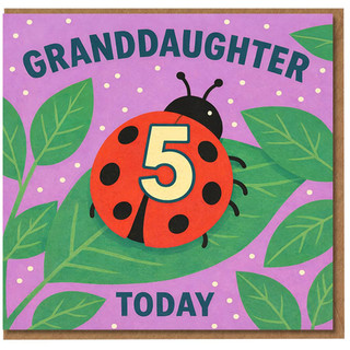 5th Birthday Card for Granddaughter, Ladybird Today Design
