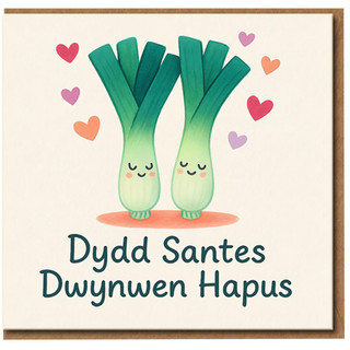 Welsh St Dwynwen's Day Card - Dydd Santes Dwynwen Hapus - Cute Leeks and Hearts - Love/Anniversary Card for Partner, Wife, Husband, Boyfriend or Girlfriend