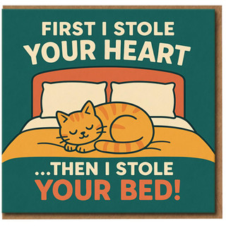 Funny Cat Anniversary Card - First I Stole Your Heart Then I Stole Your Bed - Cute Kitty for Partner, Boyfriend or Girlfriend - Romantic Cat Lover Card for Valentine’s Day or Anniversary