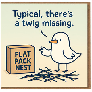 Funny Bird Flat Pack Nest Card - 'Typical, there's a twig missing' - Cartoon Humour Birthday Card for Friends, Him or Her