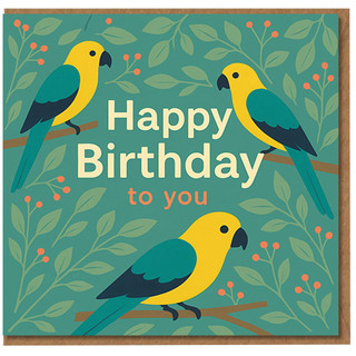 Happy Birthday Card with Colourful Parrots - Tropical Birds Design - Blank Inside - For Friends, Family, Him or Her - Includes Envelope