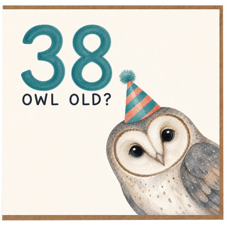 38th Birthday Card, Funny Owl Birthday Card