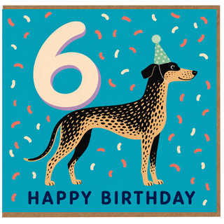 6th Birthday Card, Party Hat Confetti Happy Birthday Card