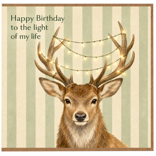 Birthday Card, Happy Birthday to the Light of My Life Deer Design