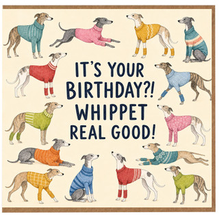 Birthday Card, It's Your Birthday?! Whippet Real Good!