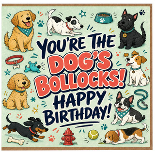 Birthday Card, You’re the Bollocks Happy Birthday Card