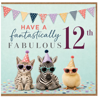 12th Birthday Card, Have a Fantastically Fabulous 12th Birthday Card