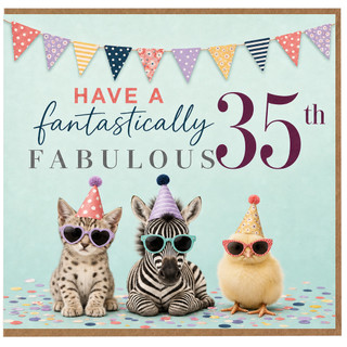 35th Birthday Card, Have a Fantastically Fabulous 35th Birthday Card