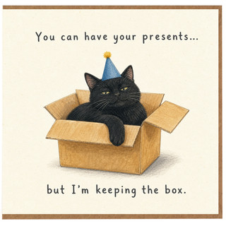 Birthday Card, You Can Have Your Presents But I’m Keeping The Box Card
