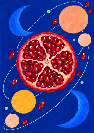 Central ruby pomegranate cross-section surrounded by colorful orbiting discs, crescents, lines, and seed-like shapes on a blue background.