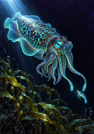 A luminous cuttlefish hovers above kelp, with bubbles and a small glowing shrimp-like animal below.