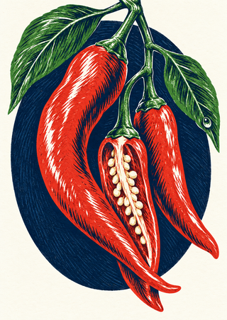Three vermilion chilies on a green stem, including one split to show its seeds, against a navy oval and warm-white background.