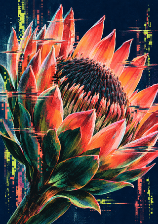 Large coral-orange protea-like flower with a dark textured center, crossed by pixel columns and glitch bars against deep navy.