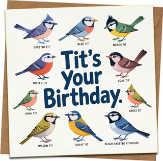 Funny Bird Birthday Card - 'Tit's Your Birthday' Pun, Illustrated Tits, 145mm x 145mm Square, Blank Inside, With Kraft Envelope - For Him, Her, Friend, Men, Women