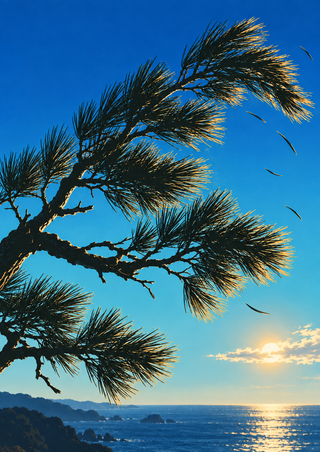 Dark coastal pine branch with warm needle highlights sweeping across a blue sky above ocean, shoreline, and a low sun.
