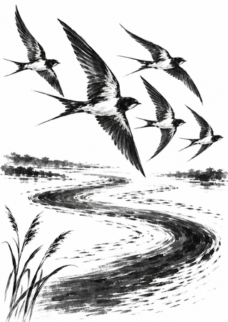 Five monochrome swallows fly above an S-shaped river, with reeds at the lower left and a distant treeline.