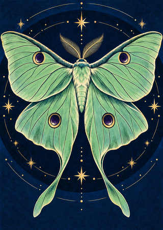 Pale mint-green moth with purple-and-gold eyespots and long tails centered among gold stars on a deep blue field.