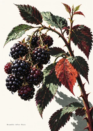 Thorny blackberry cane with a glossy cluster of dark berries, serrated leaves, and a copper-red leaf against warm white.