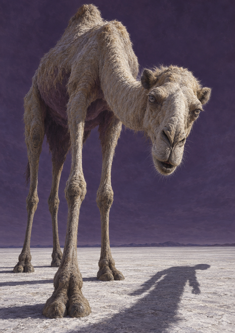Pale shaggy two-humped camel-like fantasy creature with a long neck on a light surface against a purple background.