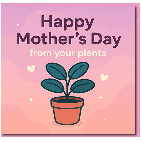 Mother's Day Card From Your Plants, Funny Mum Card with Potted Houseplant Illustration on Pink Background