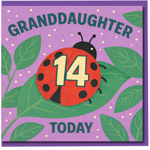 Granddaughter 14th Birthday Card