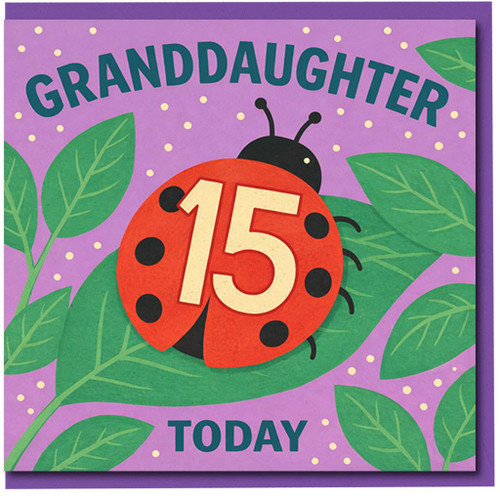 Granddaughter 15th Birthday Card, 15 Today Ladybird Greeting Card