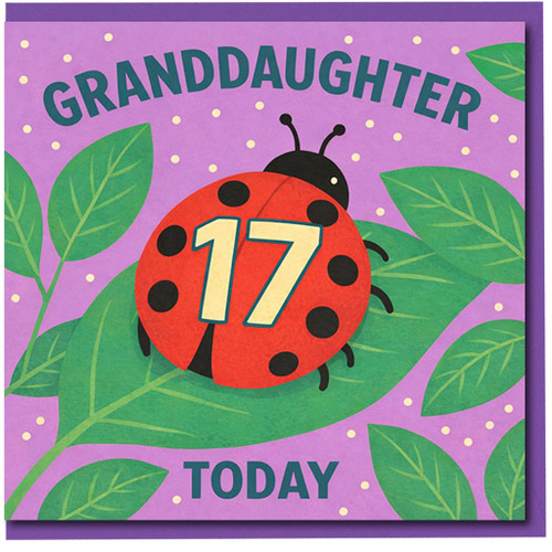 Granddaughter 17th Birthday Card