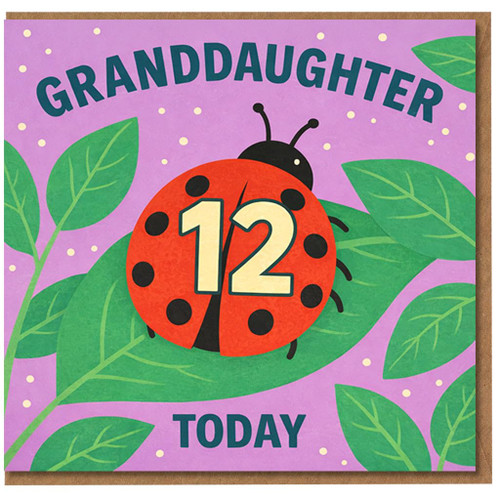12th Birthday Granddaughter Card, Ladybird Design