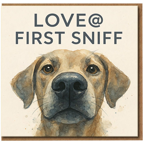 Love at First Sniff Dog Card - Funny Anniversary Card for Dog Lovers, Cute Romantic Pun, Valentine's Day for Him or Her
