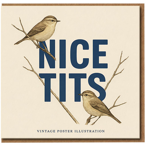Nice Tits Funny Rude Birthday Card - Vintage Bird Illustration Pun, Cheeky Humour, Blank Inside, A5