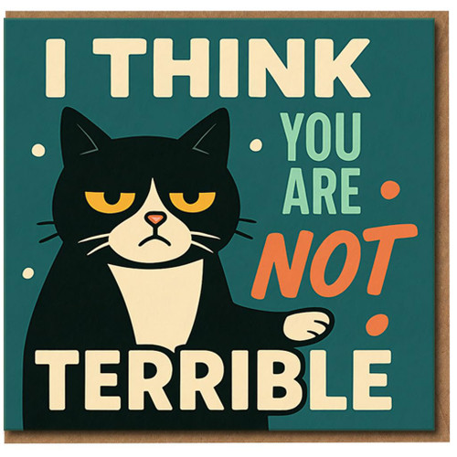 Funny Grumpy Cat Birthday Card - I Think You Are Not Terrible - Sarcastic Humour Greeting for Friends, Partner or Workmates