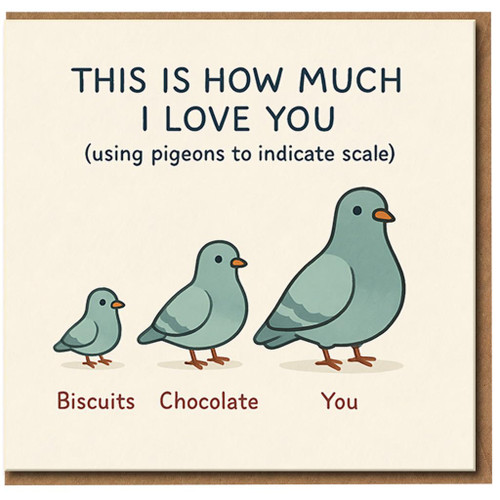 Funny Pigeons Love Card - This Is How Much I Love You (Using Pigeons to Indicate Scale) - Cute Anniversary/Valentine's Card for Partner, Boyfriend or Girlfriend