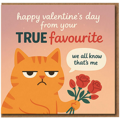Funny Valentine’s Day Card - Grumpy Ginger Cat ‘From Your True Favourite’ - Humorous Cat Lover Card - We All Know That’s Me - For Him or Her, Boyfriend, Girlfriend, Husband, Wife