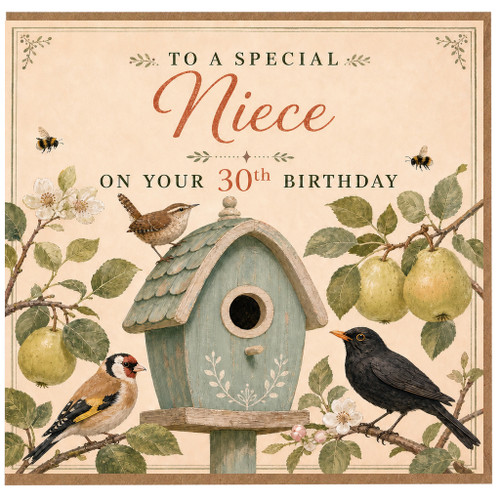 30th Birthday Card for Niece