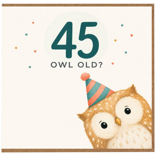 45th Birthday Card, Funny Owl Old Birthday Card