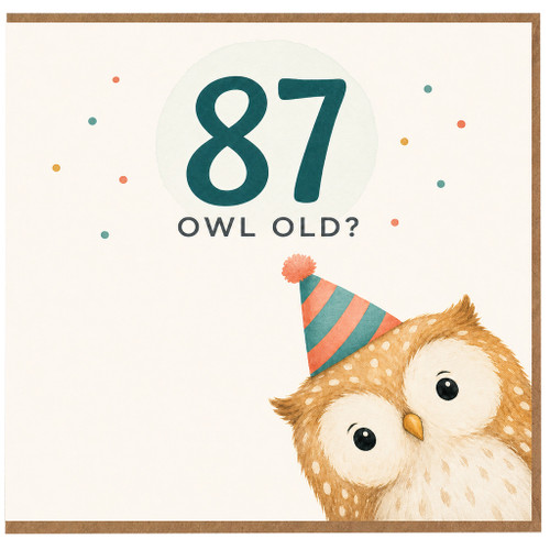 87th Birthday Card, Funny Owl Old Birthday Card