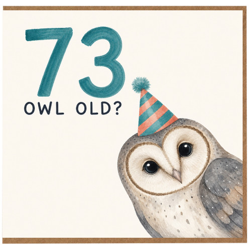 73rd Birthday Card, Funny Owl Birthday Card, 73 Owl Old?