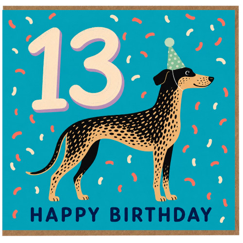 13th Birthday Card, Happy Birthday Card